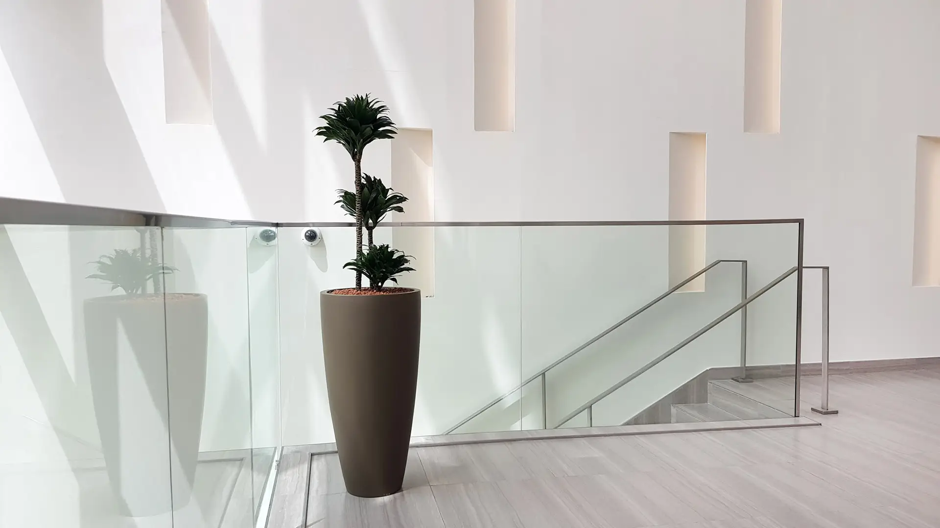 Glass Railings & Partitions